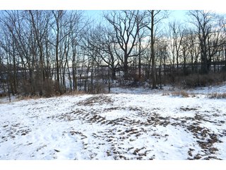 54.7 Acres with 50 tillable and 4.3 wooded.  Surrounded by heavy deer population on CRP land.  Great trophy deer hunting on established food plots.  Hunting tower.

Receive income on tillable acres while abundance of deer hunting on established food plot. - Great Investment Opportunity - Tillable Land, Recreation & Building Site